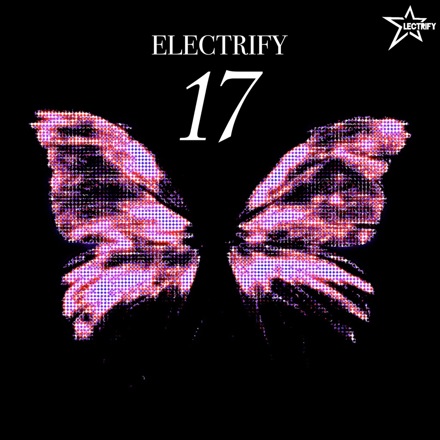 17